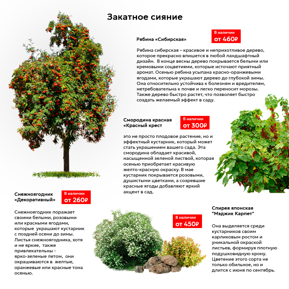 Описание2.jpg Описание2.jpg