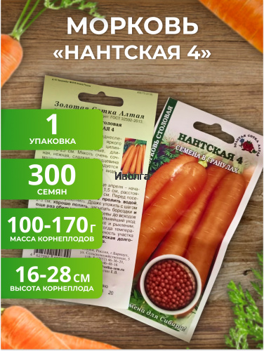 Набор семян моркови "Лучшее для Сибири №1" фото 3